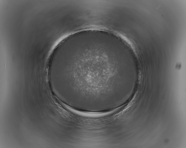 X0000095511310200712141414