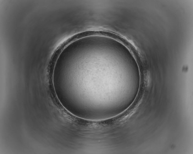 X0000095511311200712141414