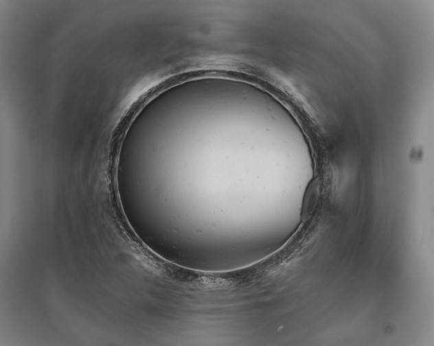 X0000095511312200712141414
