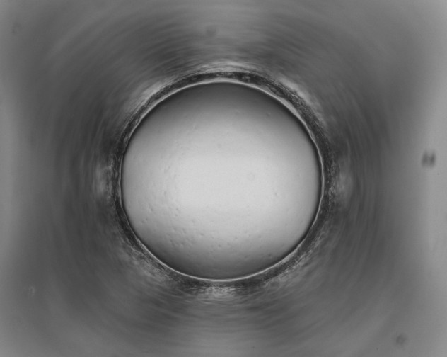X0000095511313200712141414