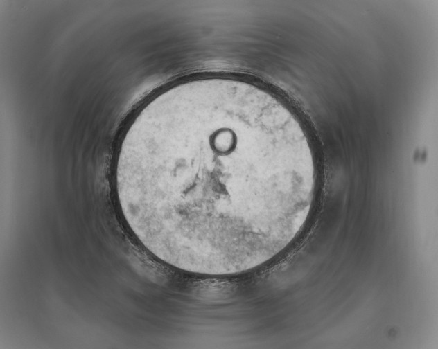 X0000095511314200712141414