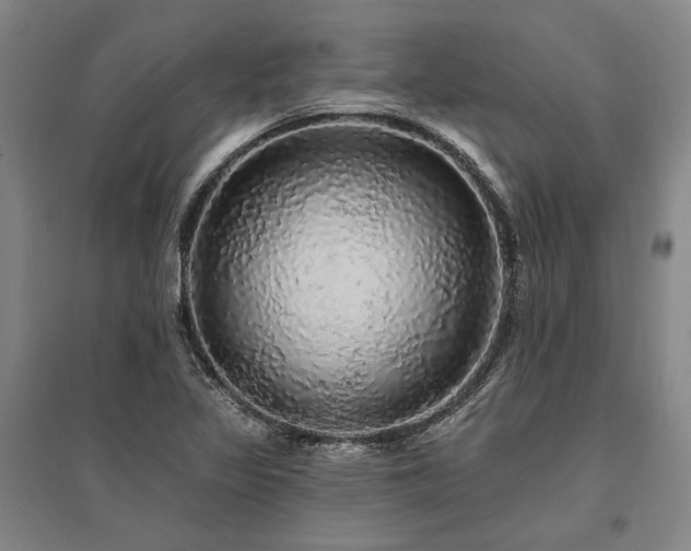 X0000095511317200712141414