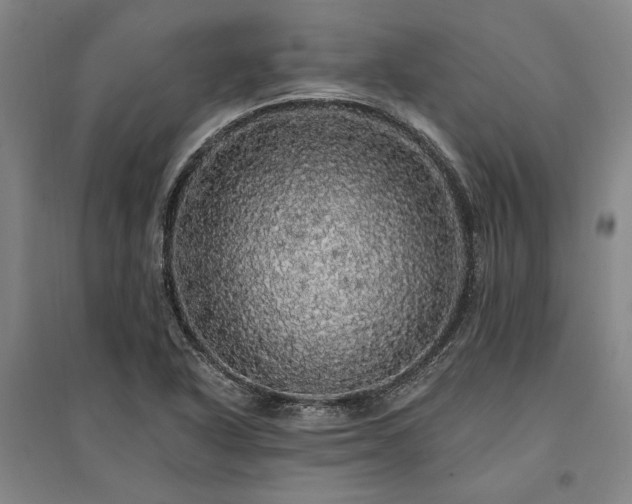 X0000095511318200712141414