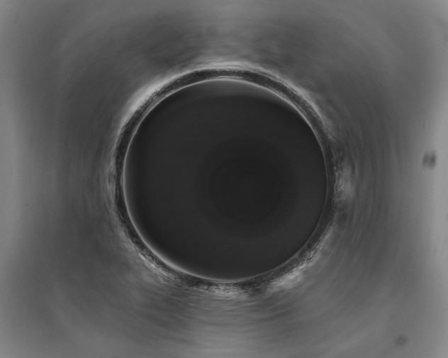 X0000095511319200712141414