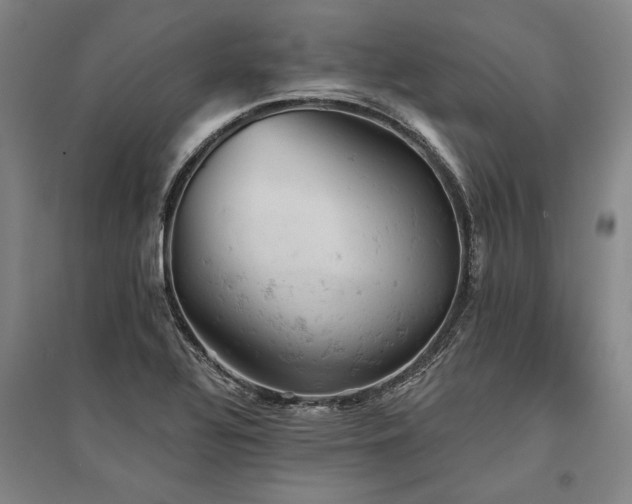 X0000095511320200712141414