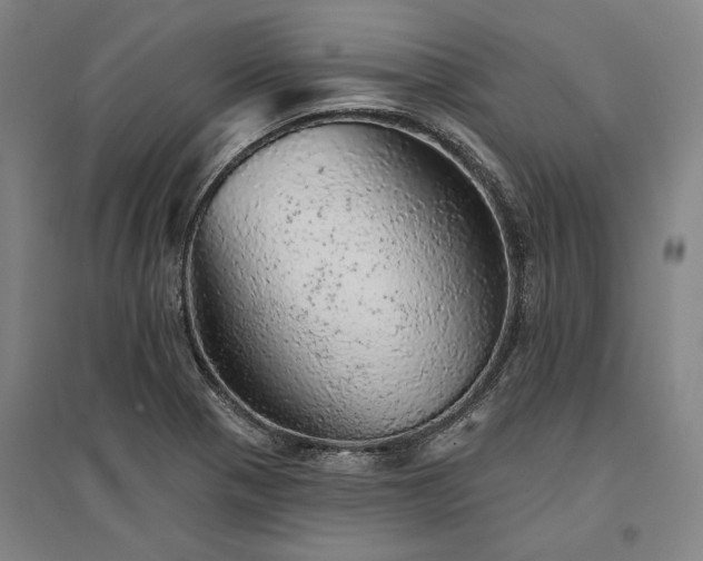 X0000095511321200712141414