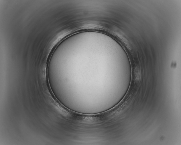 X0000095511322200712141414