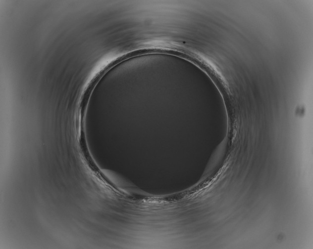 X0000095511323200712141414