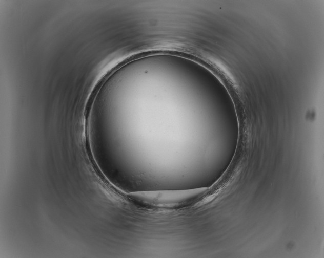 X0000095511324200712141414