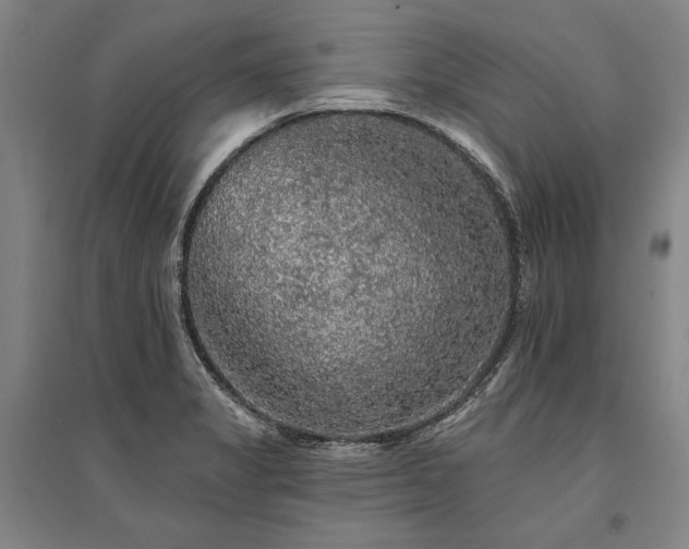 X0000095511325200712141414