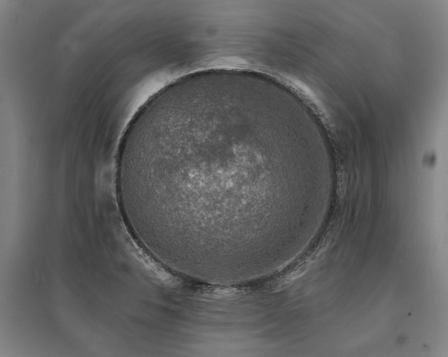 X0000095511326200712141414