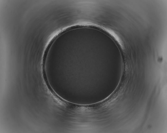 X0000095511327200712141414
