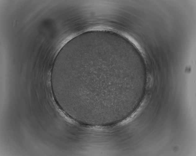 X0000095511329200712141415