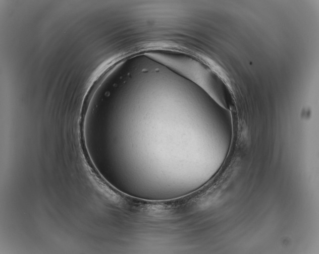 X0000095511330200712141415