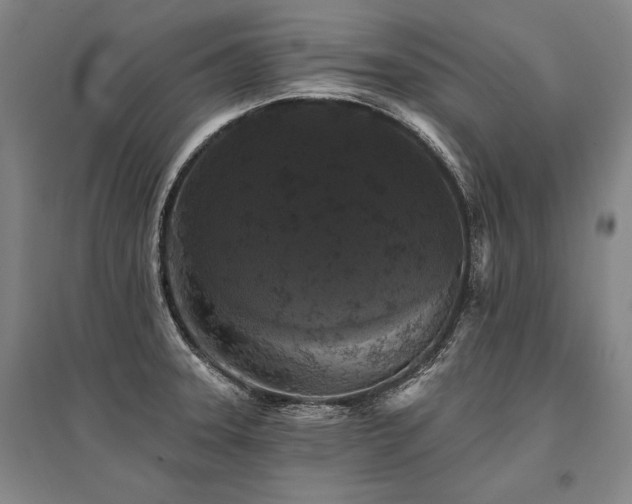 X0000095511331200712141415