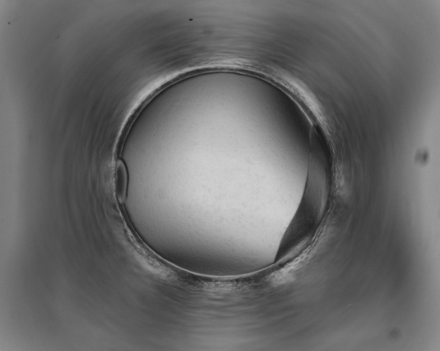 X0000095511332200712141415
