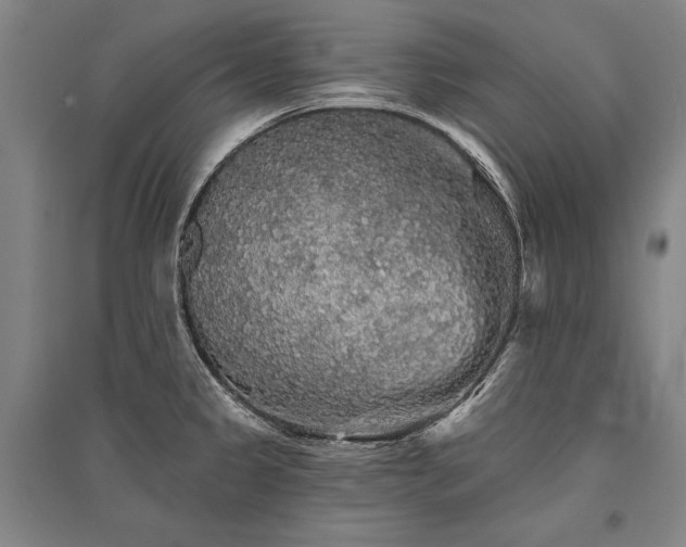 X0000095511333200712141415