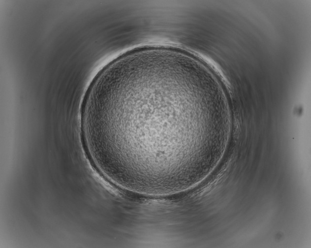 X0000095511335200712141415