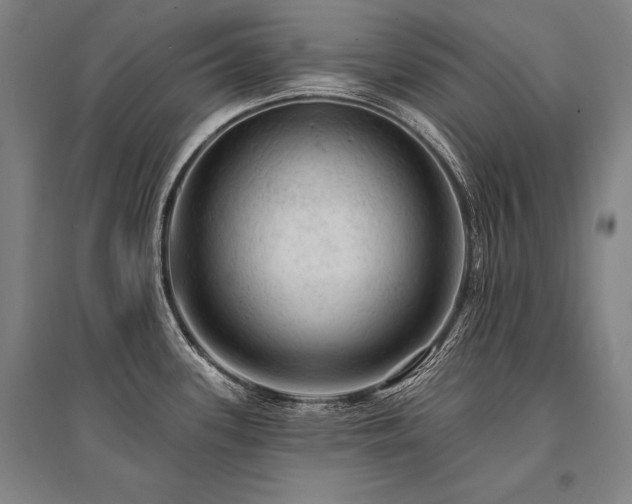X0000095511339200712141415