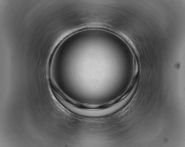 X0000095511342200712141415
