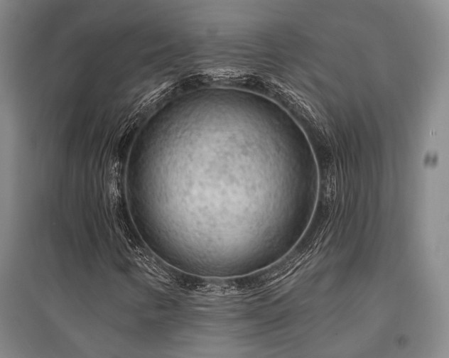 X0000095511346200712141414