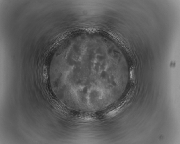 X0000095511347200712141414