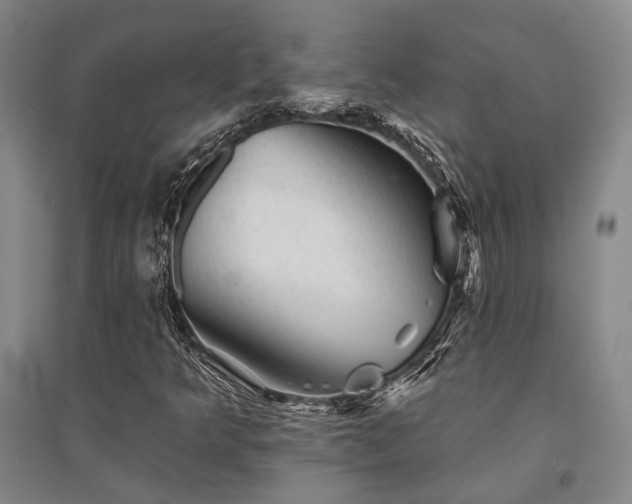 X0000095511349200712141414