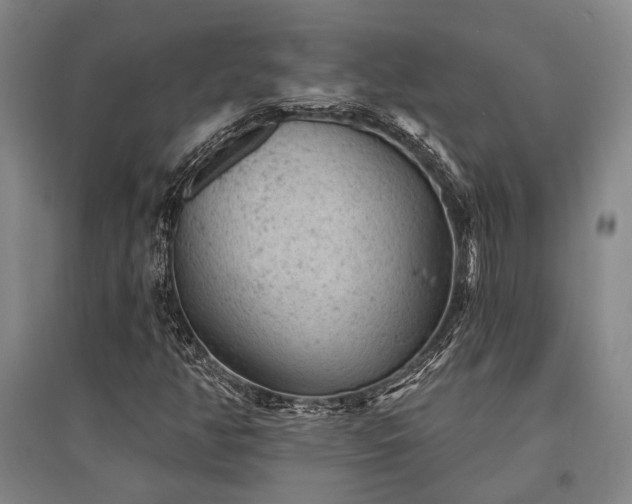 X0000095511350200712141414