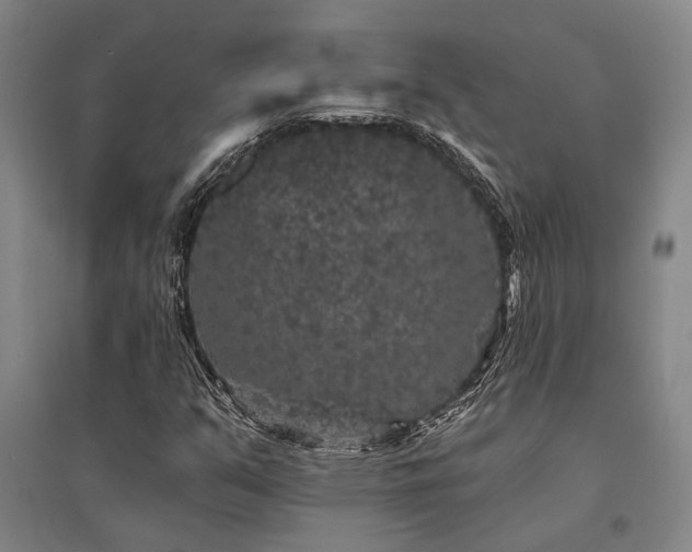 X0000095511351200712141414
