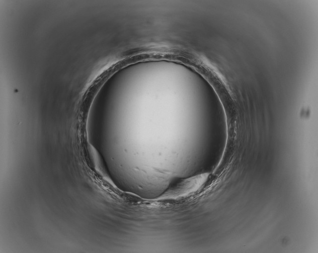 X0000095511352200712141414