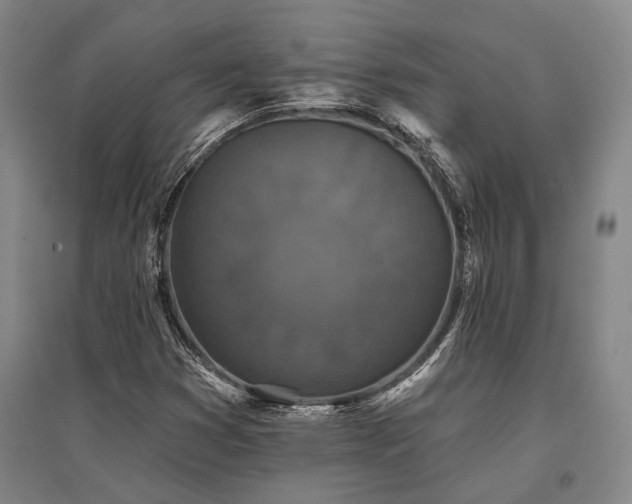 X0000095511353200712141414