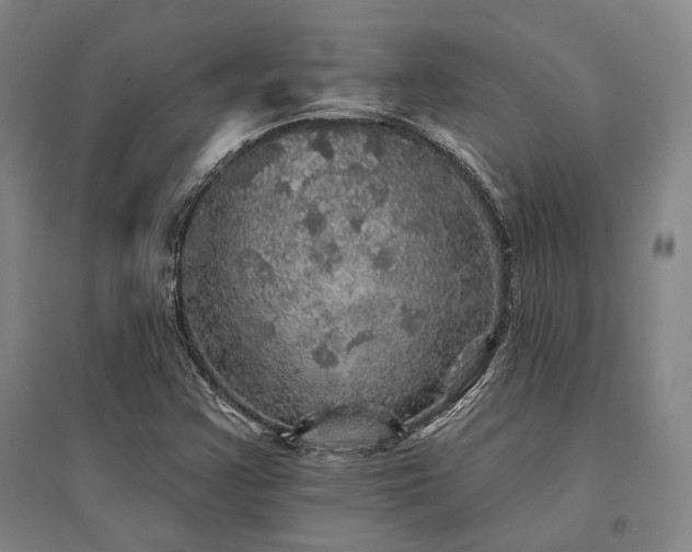 X0000095511355200712141414