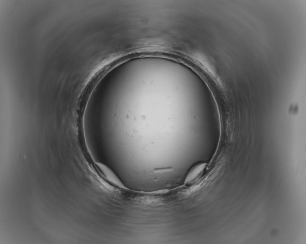X0000095511356200712141414