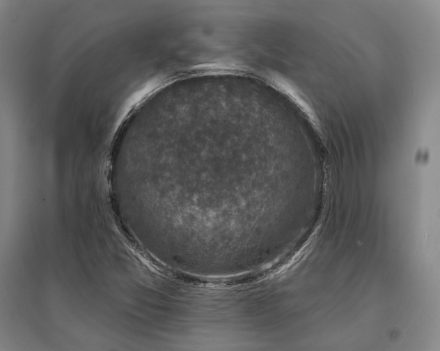 X0000095511357200712141414