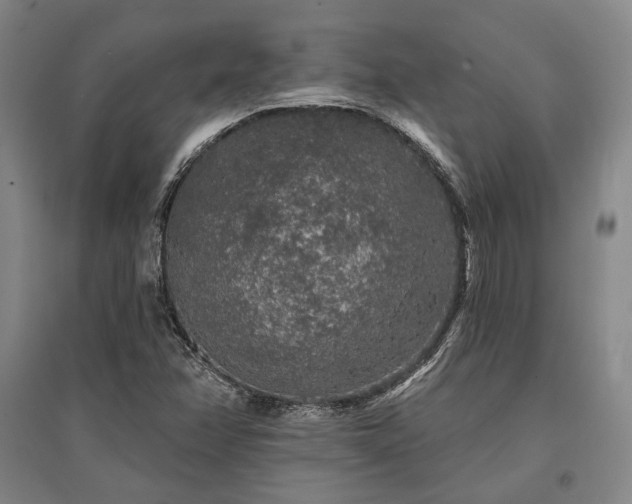 X0000095511358200712141414