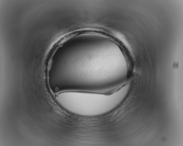 X0000095511360200712141414