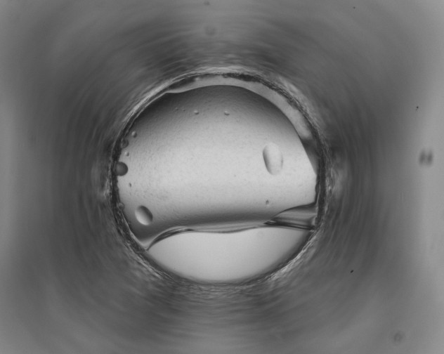 X0000095511361200712141414