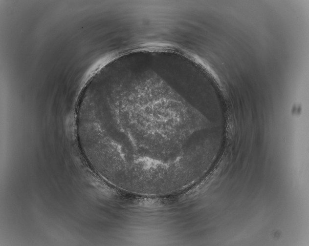 X0000095511362200712141414