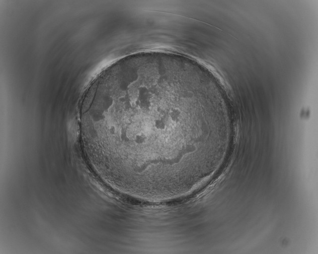 X0000095511363200712141414