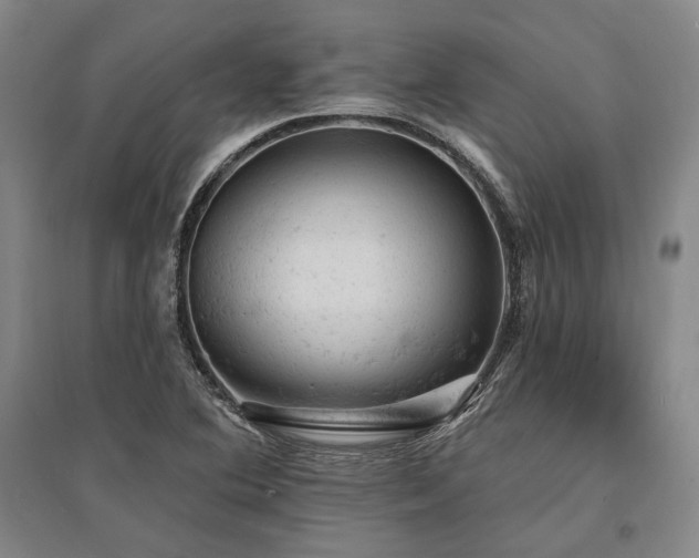 X0000095511364200712141414