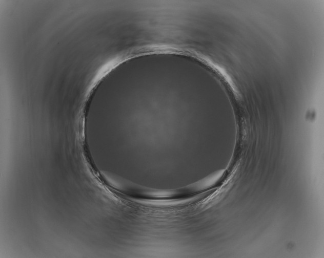 X0000095511365200712141414