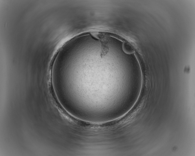 X0000095511366200712141414