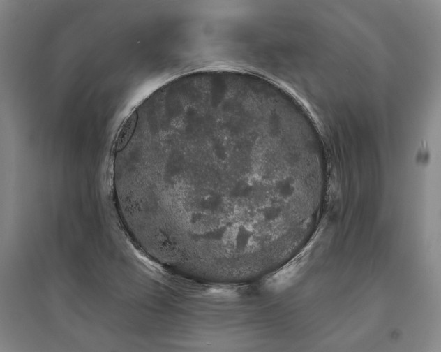 X0000095511367200712141414