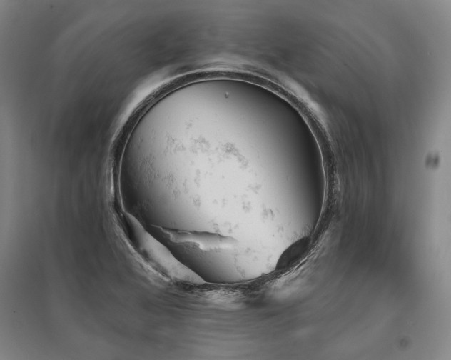 X0000095511368200712141414