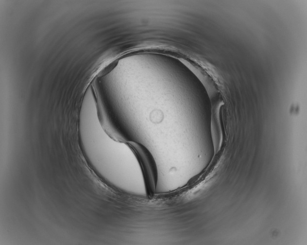 X0000095511369200712141414