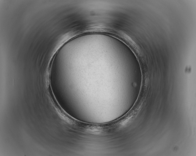 X0000095511370200712141414