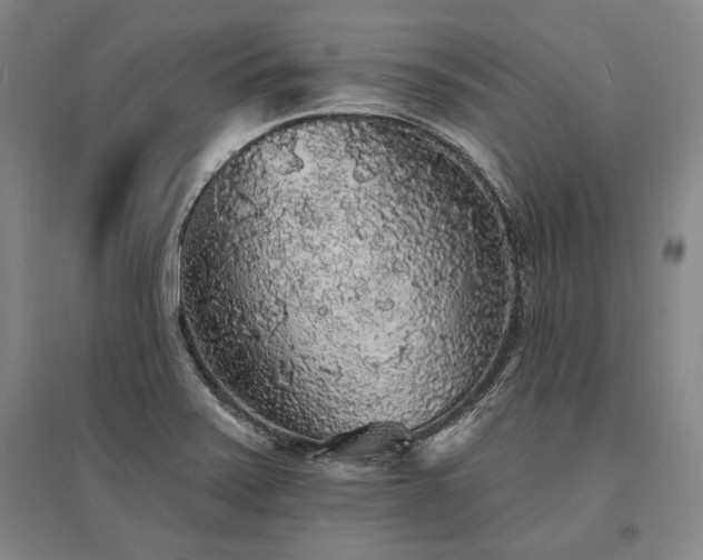 X0000095511371200712141414