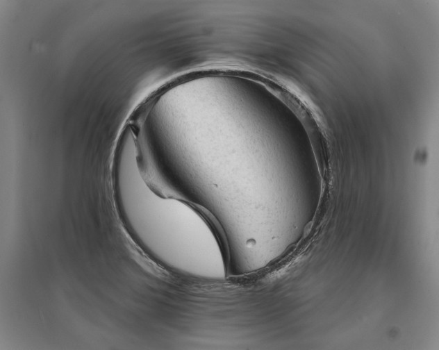 X0000095511372200712141414