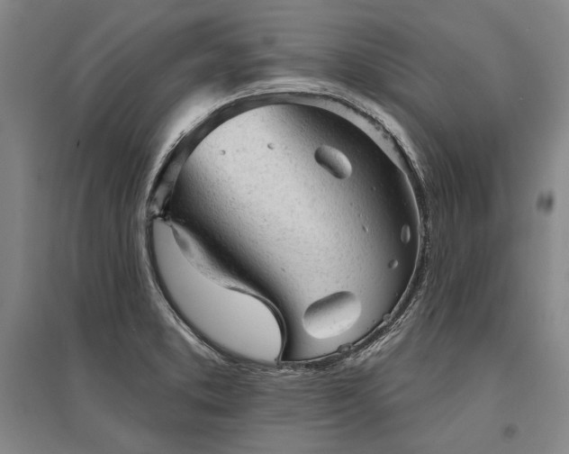 X0000095511373200712141414