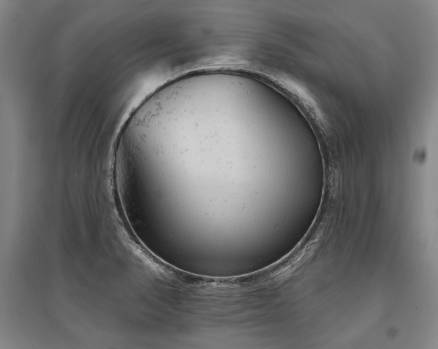 X0000095511374200712141414